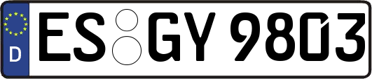 ES-GY9803