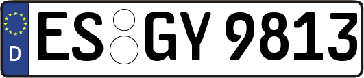 ES-GY9813
