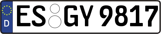 ES-GY9817