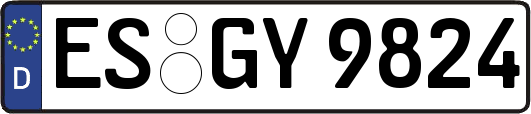 ES-GY9824