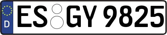 ES-GY9825