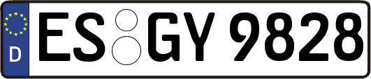 ES-GY9828