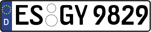 ES-GY9829