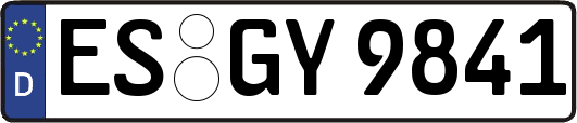 ES-GY9841