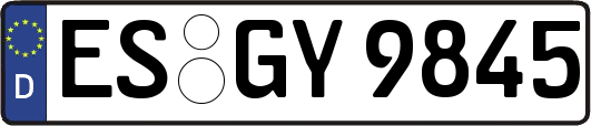 ES-GY9845