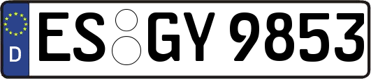 ES-GY9853