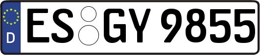 ES-GY9855