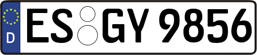 ES-GY9856