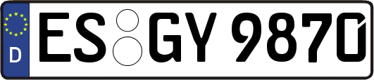 ES-GY9870