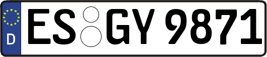 ES-GY9871
