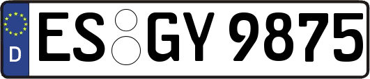 ES-GY9875