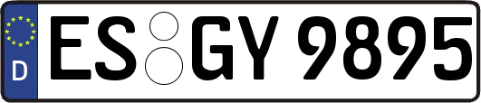 ES-GY9895