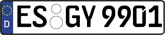 ES-GY9901