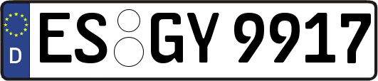 ES-GY9917