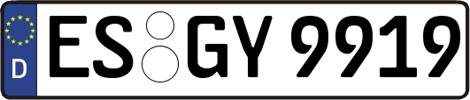 ES-GY9919