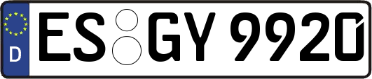 ES-GY9920