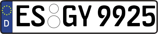ES-GY9925