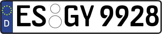 ES-GY9928