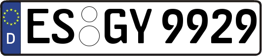 ES-GY9929