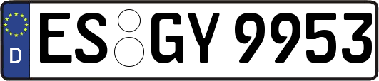 ES-GY9953