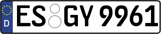 ES-GY9961