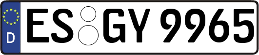 ES-GY9965