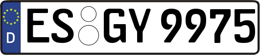 ES-GY9975