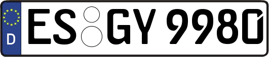 ES-GY9980