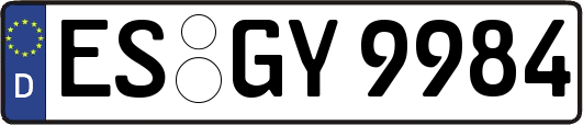 ES-GY9984