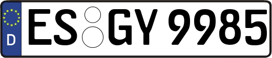 ES-GY9985
