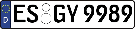 ES-GY9989