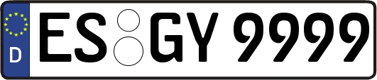 ES-GY9999