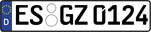 ES-GZ0124