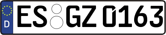 ES-GZ0163