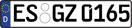 ES-GZ0165