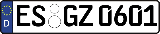 ES-GZ0601