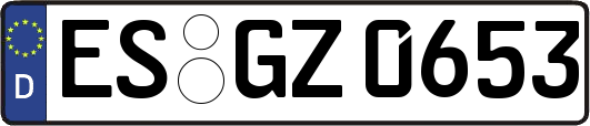 ES-GZ0653