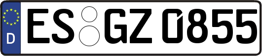 ES-GZ0855