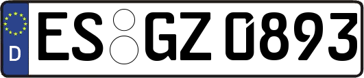 ES-GZ0893