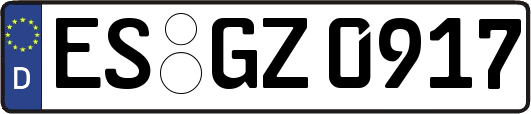 ES-GZ0917