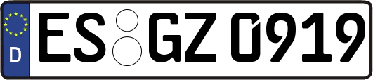 ES-GZ0919