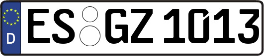 ES-GZ1013