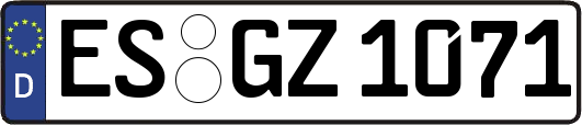 ES-GZ1071