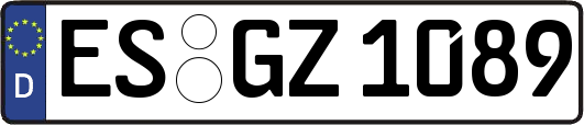 ES-GZ1089