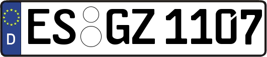 ES-GZ1107