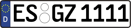 ES-GZ1111