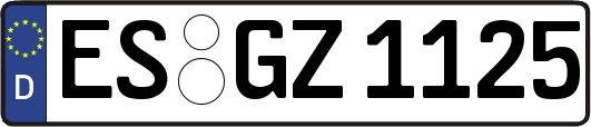 ES-GZ1125