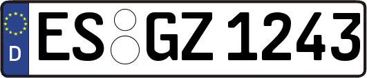 ES-GZ1243