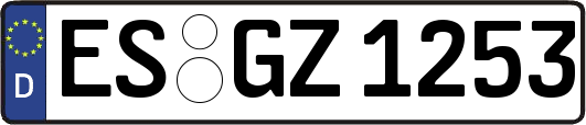 ES-GZ1253