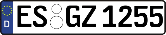 ES-GZ1255